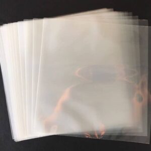 Fundas Externas Paquete 100 Unidades