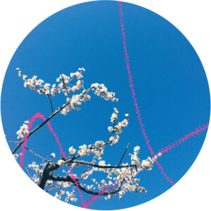 Extra – Flowerchild