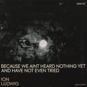 Ion Ludwig – Because We Aint Heard Nothing Yet And Have Not Even Tried