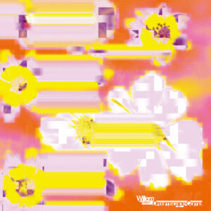 Willem, justjoe – Dreamscape Coma