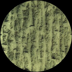 Idu Berg – Dilettantes