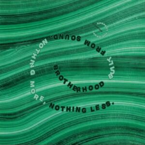 Elia Nafzger Elia Nafzger & Axel Pineau pres. Lizard & Snake – The Malachite Box EP
