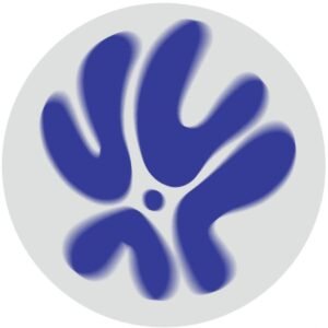 MATTEO POINT – Acid People EP
