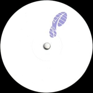 Andy Kas – Not So Disco (Incl. B.Love Remix)