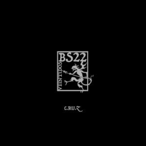 C.ru.z – BS22001