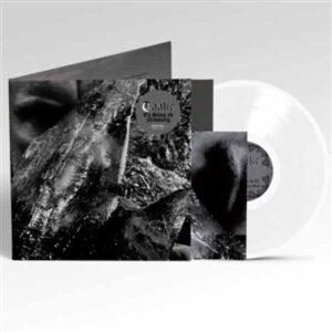 TAAKE – EN SKOG AV NIDSTANG