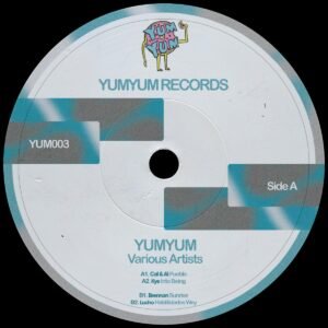 Various – Yum Yum Records VA