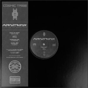 VARIOUS – PORNOTRONIX · ELECTRO IS AURAL SEX
