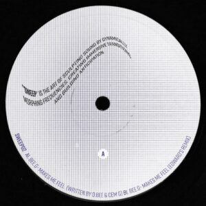 Bee.G – Makes Me Feel ft. Edward Remix